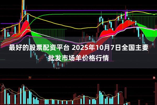 最好的股票配资平台 2025年10月7日全国主要批发市场羊价格行情
