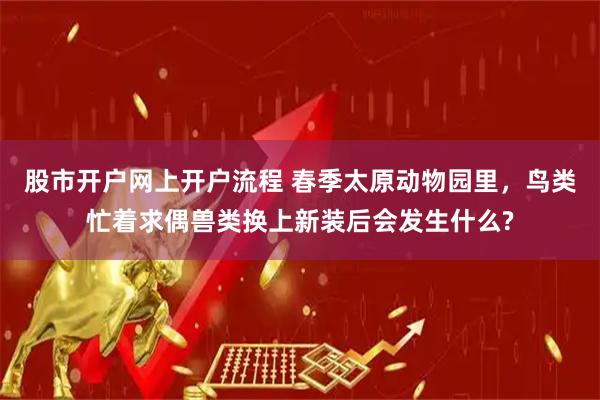 股市开户网上开户流程 春季太原动物园里，鸟类忙着求偶兽类换上新装后会发生什么?