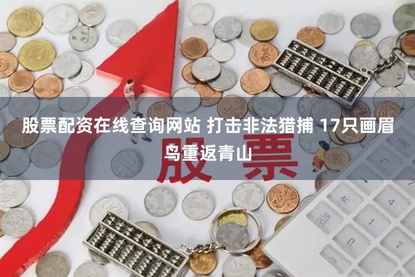 股票配资在线查询网站 打击非法猎捕 17只画眉鸟重返青山